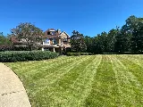 A-1 Lawn Care photo 3
