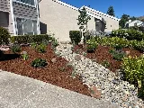 JC Perez Landscaping Service photo 3