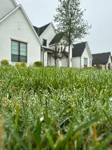 Sureguard Lawn and Pest photo 4