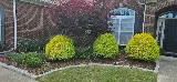 Veteran's Lawn Care & Landscaping LLC photo 5