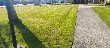 Islanders Outdoor - Lawn Care Nanaimo photo 5