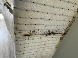 B&R Pest Control Thunder Bay photo 7