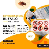Gam Bed Bug Exterminator Niagara Falls