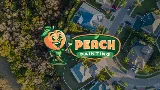 Peach Painting