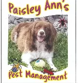 Paisley Ann's Pest Management photo 6