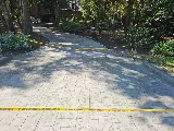 Chattanooga Concrete Contractors photo 5