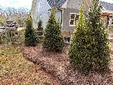 Perez Lawn Care LLC photo 6