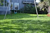 Pro Landscaping of Chula Vista photo 7