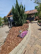 Forest Landscaping services LLC photo 3