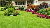 HonMex Landscaping