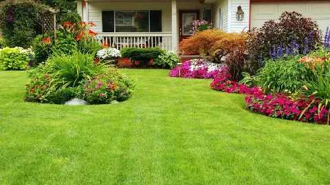 HonMex Landscaping in Newark