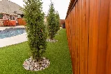 Hydroscapes Pools & Patios photo 5