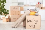 Diversity Moving Company photo 8