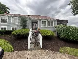 Jose’s Landscaping llc photo 6
