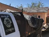 #1Top Boss Roofing photo 7