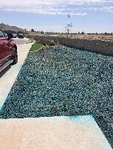 Prime Pest and Lawn - El Paso photo 5