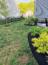 Luxe Landscaping photo 5