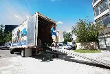 Miracle Movers photo 8