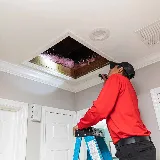 All U Need Pest Control photo 6
