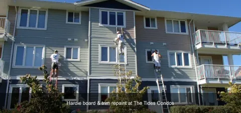 Best Choice Painting Ltd in Courtenay