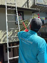 SHACK SHINE Nanaimo photo 3