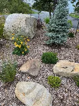 Green Ideas Landscape + Design Ltd. photo 6