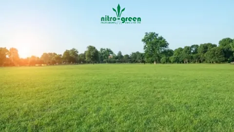 Nitro Green Professional Lawn & Tree Care in Great Falls