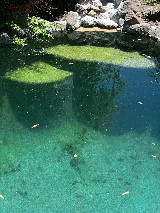 Elite Pool Service photo 2