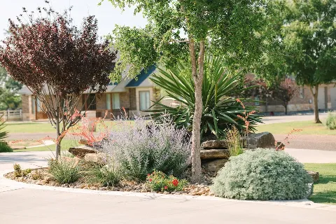 Legacy Lawn & Landscaping photo 1