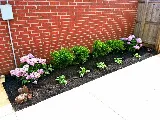 Elite Outdoor Landscaping photo 6