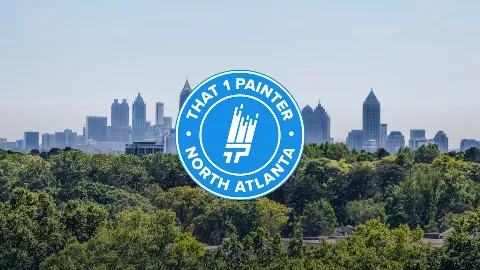 That 1 Painter North Atlanta in Alpharetta