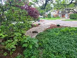 Wilson Landscaping photo 5