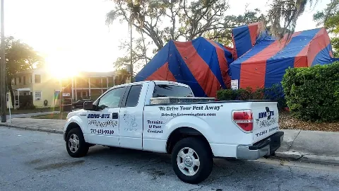 Bingham Pest Control in Clearwater