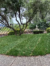 Complete Landscape photo 5