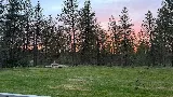 Palmer Landscape Design photo 5