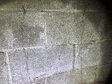 American Termite & Pest Control photo 2