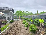 BNC Landscaping photo 8
