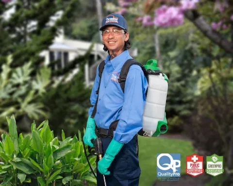 Thrasher Pest Control in San Diego
