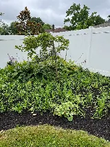 Brother & Sister Landscaping photo 3