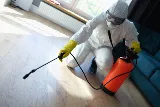 Power Pest Control Union City NJ photo 5
