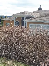Able Roofing Ltd photo 6