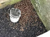 Bugs Bee Gone Pest Control photo 2