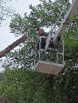 Smith's Lawn & Tree Service photo 3