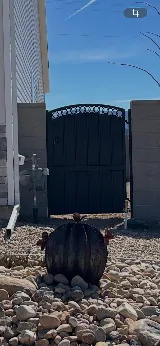 Red Hills masonry LLC photo 7