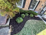 Landscaping Pro LLC photo 3
