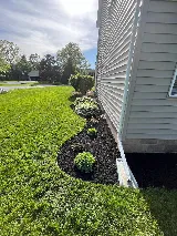 Landscape Solutions photo 6