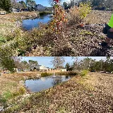 Carolina Landscaping and Clean Up photo 8