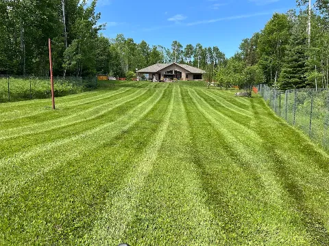 Lush Lawn Care & More photo 1