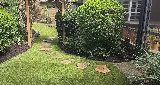 Orlando Evergreen Lawn & Landscaping photo 7