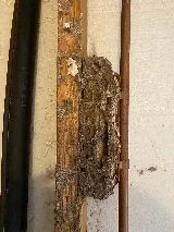 AAA Pest Control photo 5